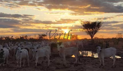 Fazenda à venda na Rural, Sn, Centro, Juatuba, 4020 m2 por R$ 27.000.000