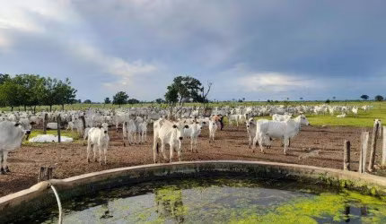 Fazenda à venda na Rural, Sn, Centro, Carinhanha, 7300 m2 por R$ 40.000.000