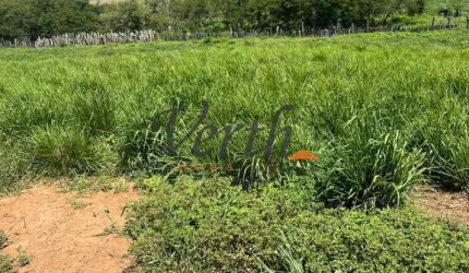 Fazenda à venda na Rui Barbosa, 1000, Centro, Montes Claros, 2000 m2 por R$ 27.000.000