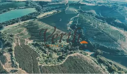 Fazenda à venda na rural, 3434, Centro, Luminárias, 239 m2 por R$ 30.000.000