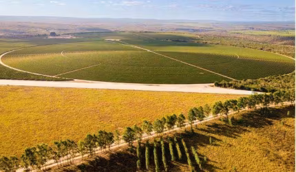 Fazenda à venda na rural, 3434, Centro, Berizal, 1216 m2 por R$ 75.000.000