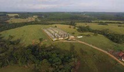 Fazenda à venda na RURAL, 345, Centro, Alambari, 50 m2 por R$ 6.199.000