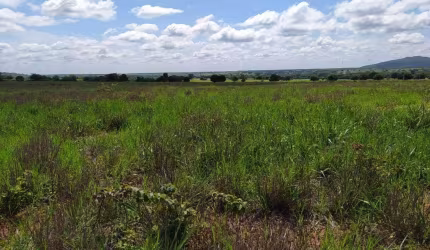 Fazenda à venda na rural, 1212, Centro, Manga, 4535 m2 por R$ 24.680.000