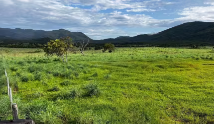Fazenda à venda na rural, 2324, Centro, Campos Belos, 2725 m2 por R$ 47.000.000