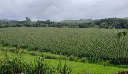 Fazenda à venda no Centro, Juiz de Fora , 1008 m2 por R$ 50.000.000