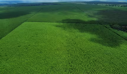 Fazenda à venda na Rural, 1000, Centro, Jacupiranga, 1000 m2 por R$ 55.000.000