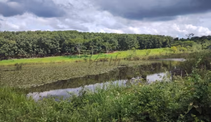 Fazenda à venda na Rural, 1000, Centro, São Paulo, 90 m2 por R$ 20.000.000