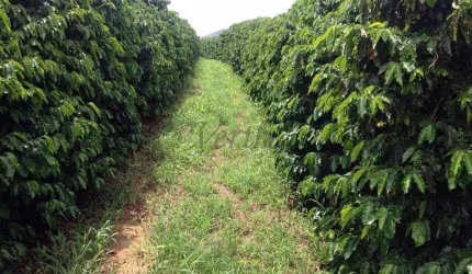 Fazenda à venda no Centro, São Joaquim da Barra , 1016 m2