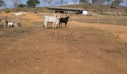 Fazenda à venda no Centro, Belo Horizonte , 408 m2 por R$ 12.000.000