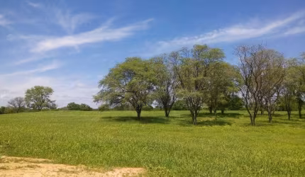 Fazenda à venda na Teixeira de Freitas, 100, Centro, Teixeira de Freitas, 6000 m2 por R$ 21.000.000