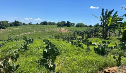 Fazenda à venda na Avenida Anchieta, 827, Centro, Campinas, 2000 m2 por R$ 25.000.000