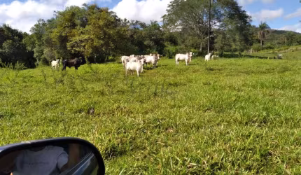 Fazenda à venda na Rural, 1000, Centro, Diamantina, 2139 m2 por R$ 12.000.000