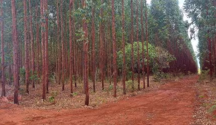 Fazenda à venda na Rural, 1000, Centro, Lassance, 1700 m2 por R$ 55.000.000