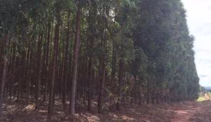 Fazenda à venda na Rural, 1000, Centro, Bonito de Minas, 6300 m2