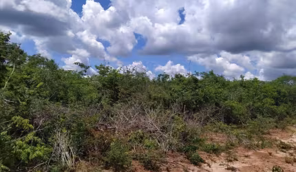Fazenda à venda na Rural, 1000, Centro, Cocos, 6900 m2 por R$ 21.000.000