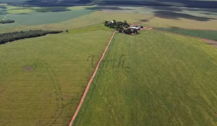 Fazenda à venda na Avenida dos Canários 141 Lote W, 1000, Centro, Nova Mutum, 1400 m2 por R$ 95.000.000