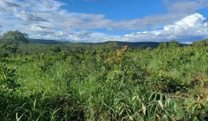 Fazenda à venda na Avenida Guilhermino Ferreira, s/n, 1000, Centro, Salinas, 376 m2 por R$ 10.500.000