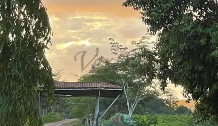 Fazenda à venda na Rua Inês Soares 80, 1000, Centro, Pacajá, 800 m2 por R$ 55.000.000