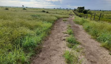 Fazenda à venda na RURAL, 100, Centro, Carinhanha, 6882 m2 por R$ 30.000.000