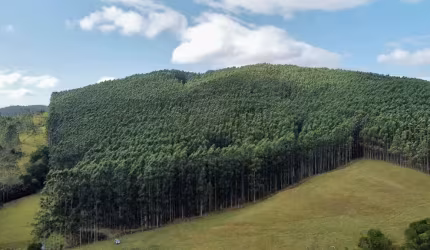 Fazenda à venda na Avenida Santa Catarina 919, 1000, Centro, Imbituba, 1000 m2