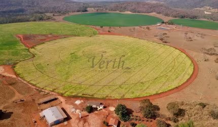 Fazenda à venda na Adelina Andrade Porto, 1000, Flamboyant, Paracatu, 125 m2 por R$ 13.500.000