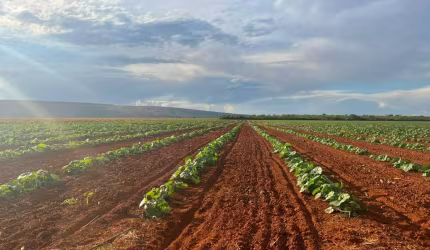 Fazenda à venda na A, 00, Fátima, Sete Lagoas, 2580 m2