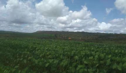 Fazenda à venda na Maestro João Luiz do Espírito Santo, Sn, Jardim Califórnia, Formosa, 1100 m2 por R$ 25.000.000