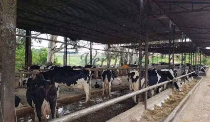 Fazenda à venda na Unaí, 1000, Mamoeiro, Unaí, 617 m2 por R$ 70.000.000