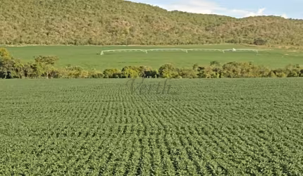 Fazenda à venda na Unaí, 5000, Mamoeiro, Unaí, 355 m2 por R$ 16.000.000