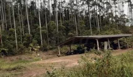 Fazenda à venda na Expedicionários de Itapeva, 1000, Parque Cimentolândia, Itapeva, 242 m2 por R$ 16.250.000