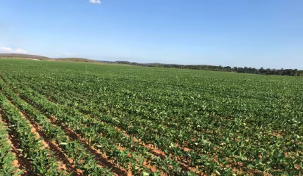 Fazenda à venda na ACSU NO 10 Avenida Joaquim Teotônio Segurado, 1, Plano Diretor Norte, Palmas, 2115 m2 por R$ 44.000.000
