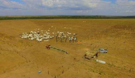 Fazenda à venda na Rural, 1232, Setor Central, Guaraí, 305 m2 por R$ 8.500.000