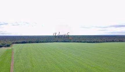 Fazenda à venda na Governador Júlio Campos, 100, Setor Comercial, Sinop, 1320 m2
