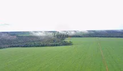 Fazenda à venda na Governador Júlio Campos, 150, Setor Comercial, Sinop, 616 m2