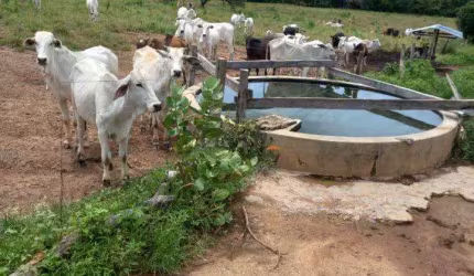 Fazenda à venda na Manoel Athaide, Sn, São Gonçalo, Janaúba, 431 m2 por R$ 4.000.000
