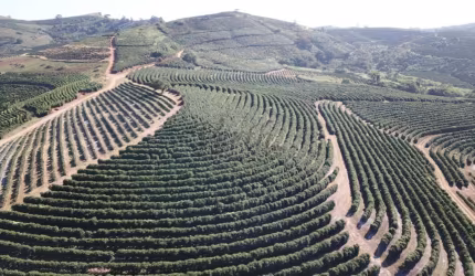 Fazenda à venda na Praça Coronel Gustavo Ribeiro, 63, 1000, Centro, Caconde, 406 m2 por R$ 45.000.000