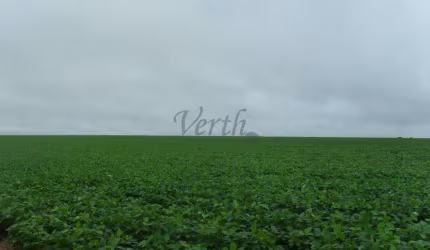 Fazenda à venda na Virgílio Justiniano Ribeiro, 1000, Centro, Unaí, 742 m2 por R$ 17.000.000