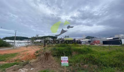 Terreno à venda, 298 m² por R$ 300.000,00 - Caminho Novo - Palhoça/SC