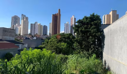 Terreno comercial à venda, Jardim Anália Franco, São Paulo - TE0813.