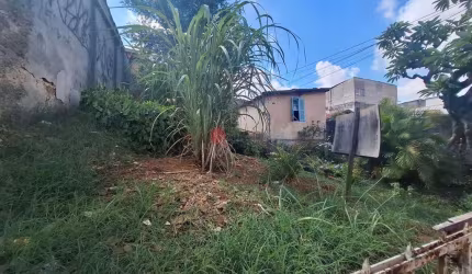 Terreno de 10 x 50 na Vila Invernada