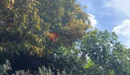 Excelente terreno na Vila Formosa