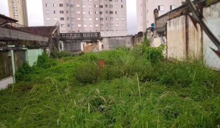 Terreno Residencial  no Tatuapé em Rua Tranquila.