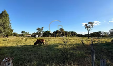 O CAMPO ESTÁ CHAMANDO: TERRENO DE 1 HECTARE PRONTO PARA SUA CHÁCARA!