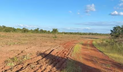 Fazenda 37 Alqueires Plana à Beira do Asfalto em TO