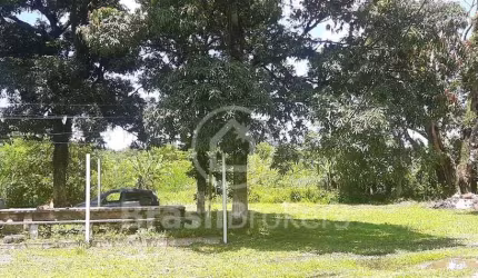 Chácara 8 quartos - Taquara