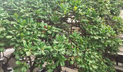 Apartamento à venda com 0m² e 3 quartos em Copacabana, Rio de Janeiro - rj