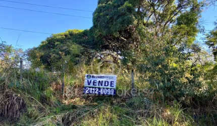 Terreno Comercial  - Jardim Patrícia