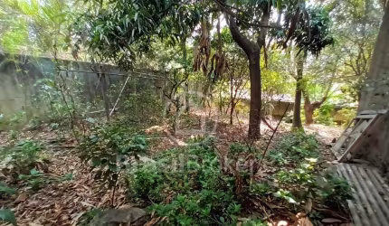 Terreno Frente de Rua com 363 metros