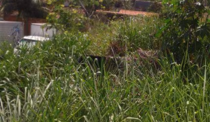 Terreno residencial à venda, Campo Grande, Rio de Janeiro.