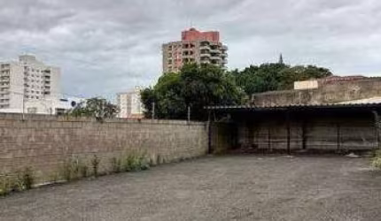 Terreno para aluguel, Centro - Americana/SP